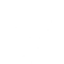 Aetervi